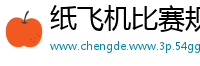 纸飞机比赛规则